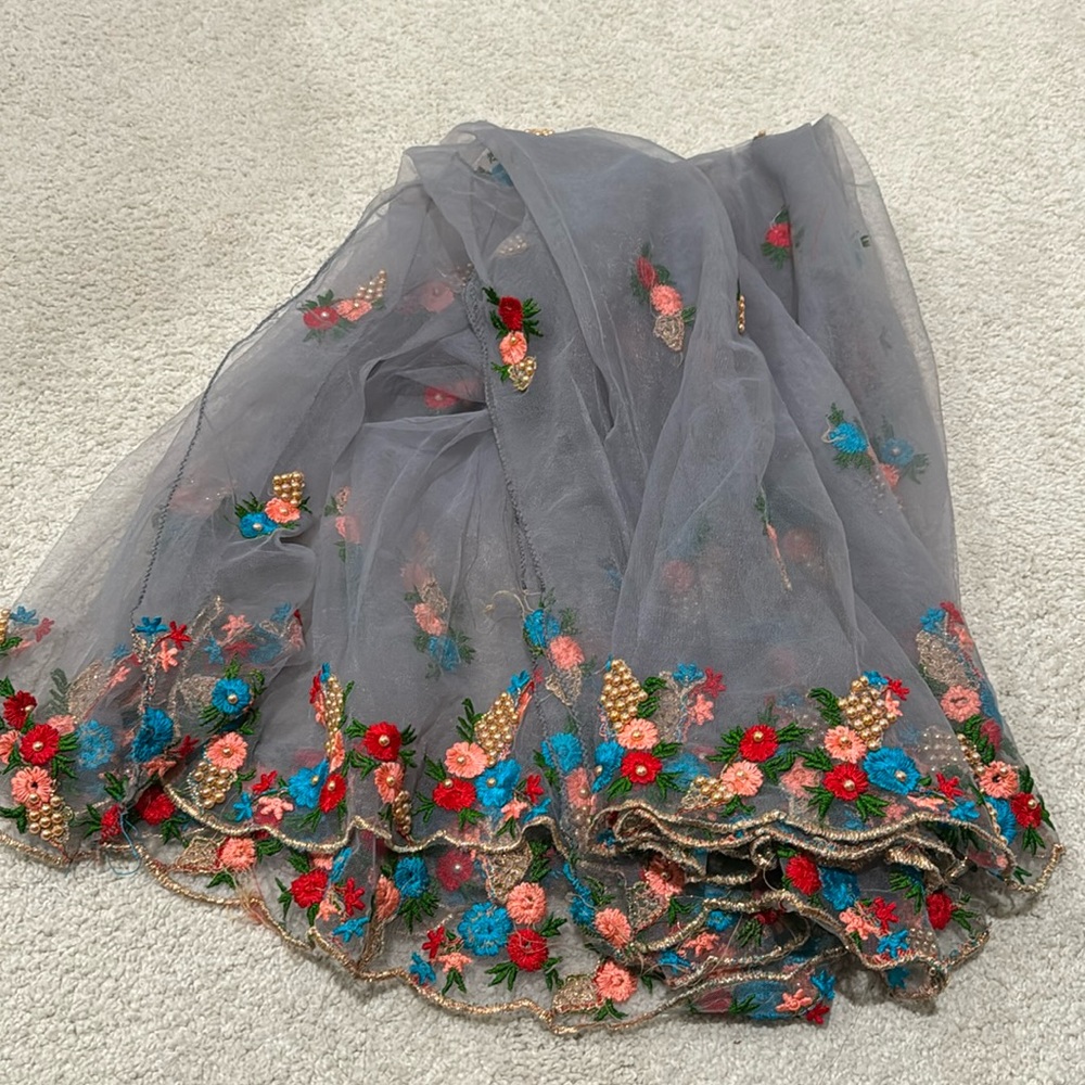 Brand new Net dupatta